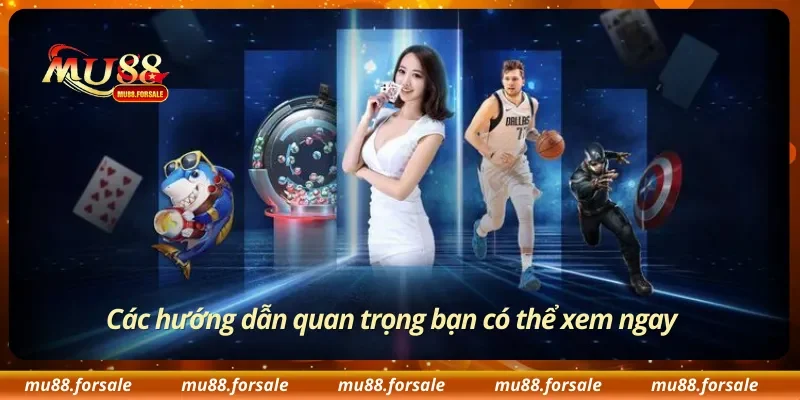 Các hướng dẫn quan trọng bạn có thể xem ngay
